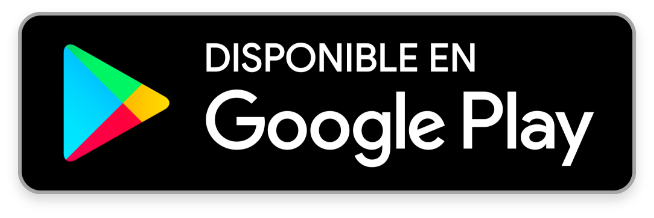logo google